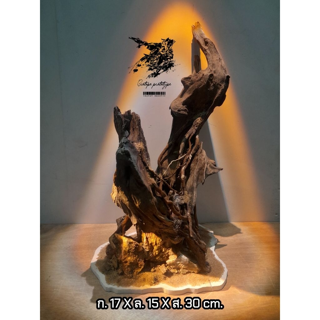 Layout ตู้ปลา เลย์เอาท์น็อคดาวน์ สำหรับตู้ปลาทรงกลม,โหลกลม