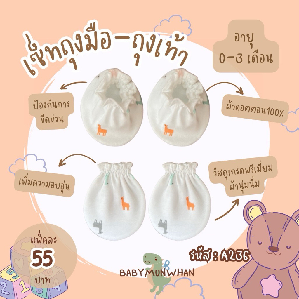 รูปภาพ 7