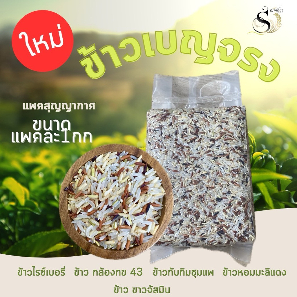 ข้าวเบญจรงค์5ชนิดแพคสุญญากาศ1กิโลกรัม