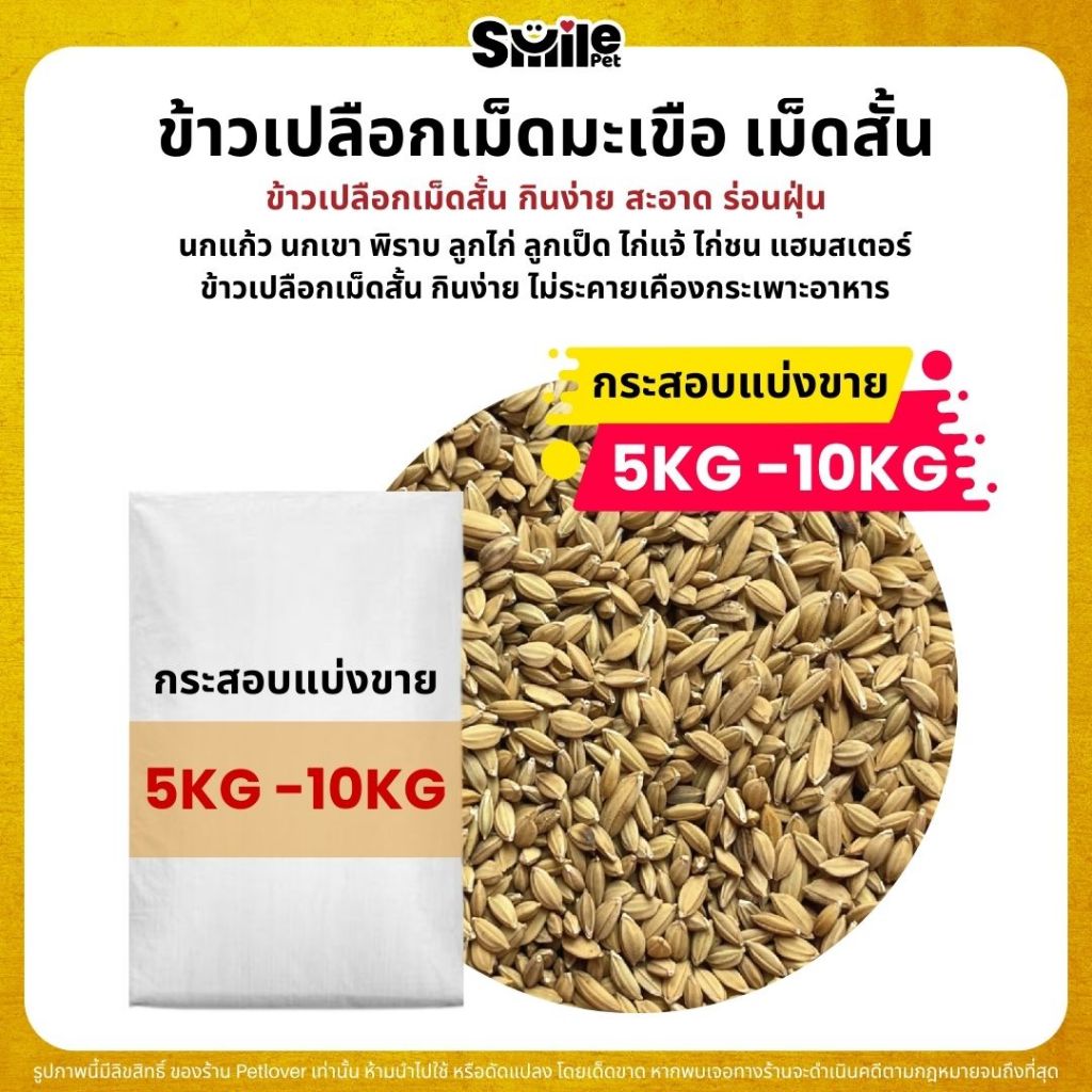 (5KG/10KG) ข้าวเปลือกเม็ดมะเขือ เม็ดสั้น อาหารนกแก้วทุกสายพันธุ์ หนูแฮมสเตอร์ ไก่ชน ไก่แจ้