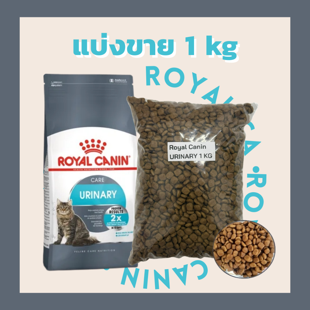 [แบ่งขาย1kg ] Royal Canin อาหารแมวเกรดพรีเมียม รูปที่ 2