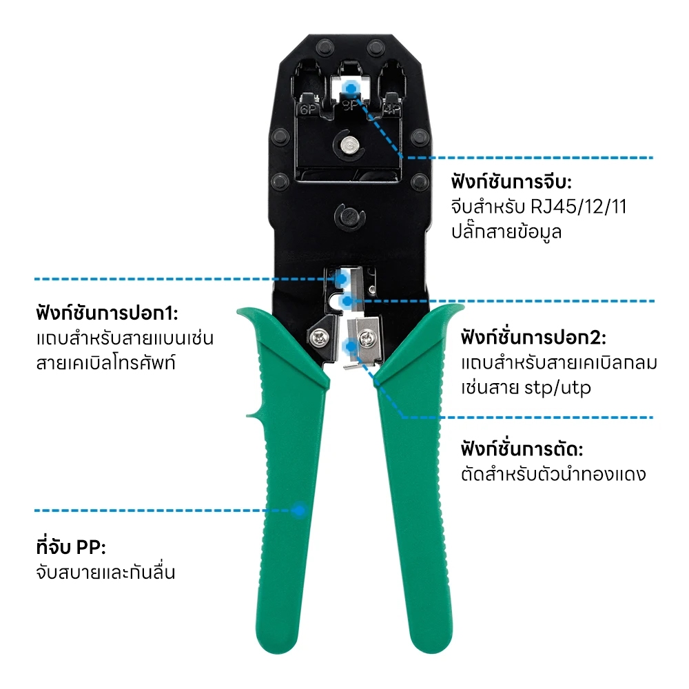 รูปภาพ 4