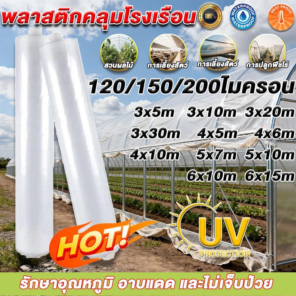 【หนา 120/150/200ไมครอน】พลาสติกคลุมโรงเรือน พลาสติกPE uv7% ขนาด ทนทาน โรงเรือนเพาะปลูก คุณภาพสูง กันฝ