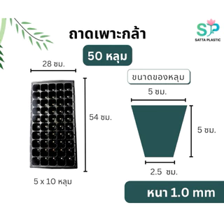 ถาดเพาะกล้า ถาดเพาะเมล็ด | 1ใบ | (หนา 1.0 mm) 32 ,50, 105,128,200 หลุม ถาดเพาะผัก ถาดเพาะชำ แข็งแรง