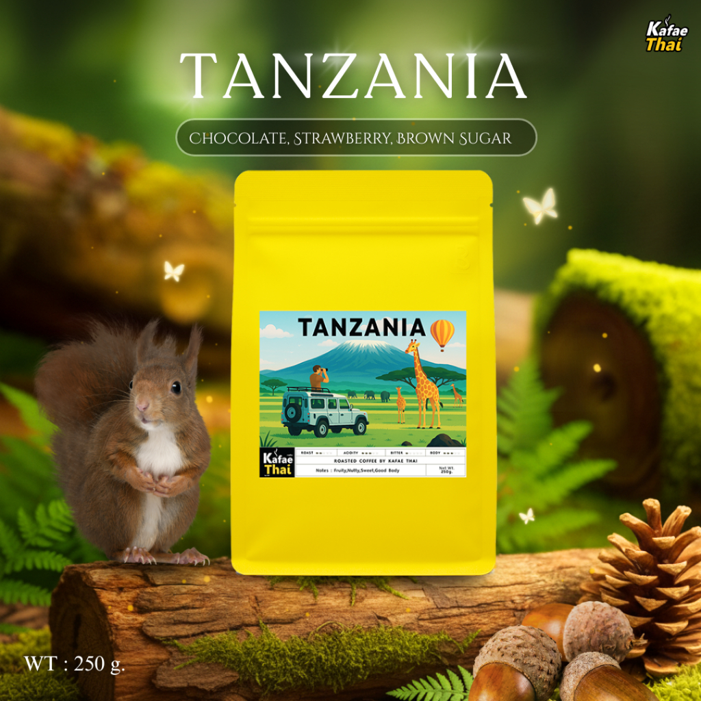 เมล็ดกาแฟคั่ว Tanzania Blend By Kafaethai ขนาด 250 กรัม