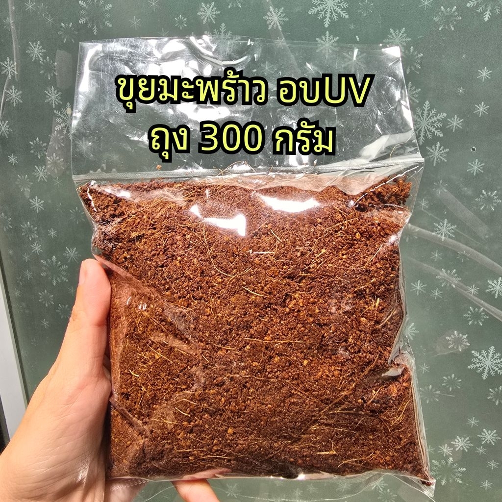 รูปภาพ 4