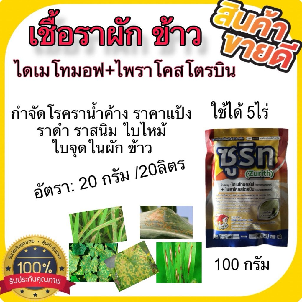 ซูริท 100กรัม ยาฆ่าเชื้อรา กำจัดโรคฟิวซาเรียม แอนแทรกโนส ไฟทอปธอร่า ใบติด ใบจุดสาหร่าย ราน้ำค้าง ใบไหม้ ราดำ เน่าคอรวง