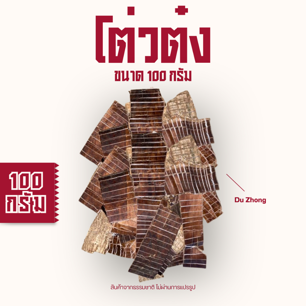 โต่วต๊ง  杜仲 Du Zhongโต่วต๋ง โต๋วต๊ง โต่วต๋งซี ขนาด 100 กรัม