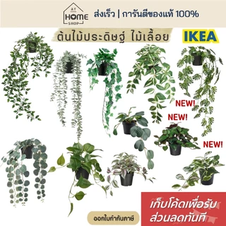 [เก็บโค้ดก่อนสั่ง] ส่งเร็ว อิเกีย แท้💯 ต้นไม้ปลอม ไม้เลื้อย พร้อมกระถาง IKEA