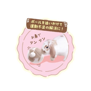 ลูกบอลสำหรับสัตว์เลี้ยง แบรนด์ Mini Animan
