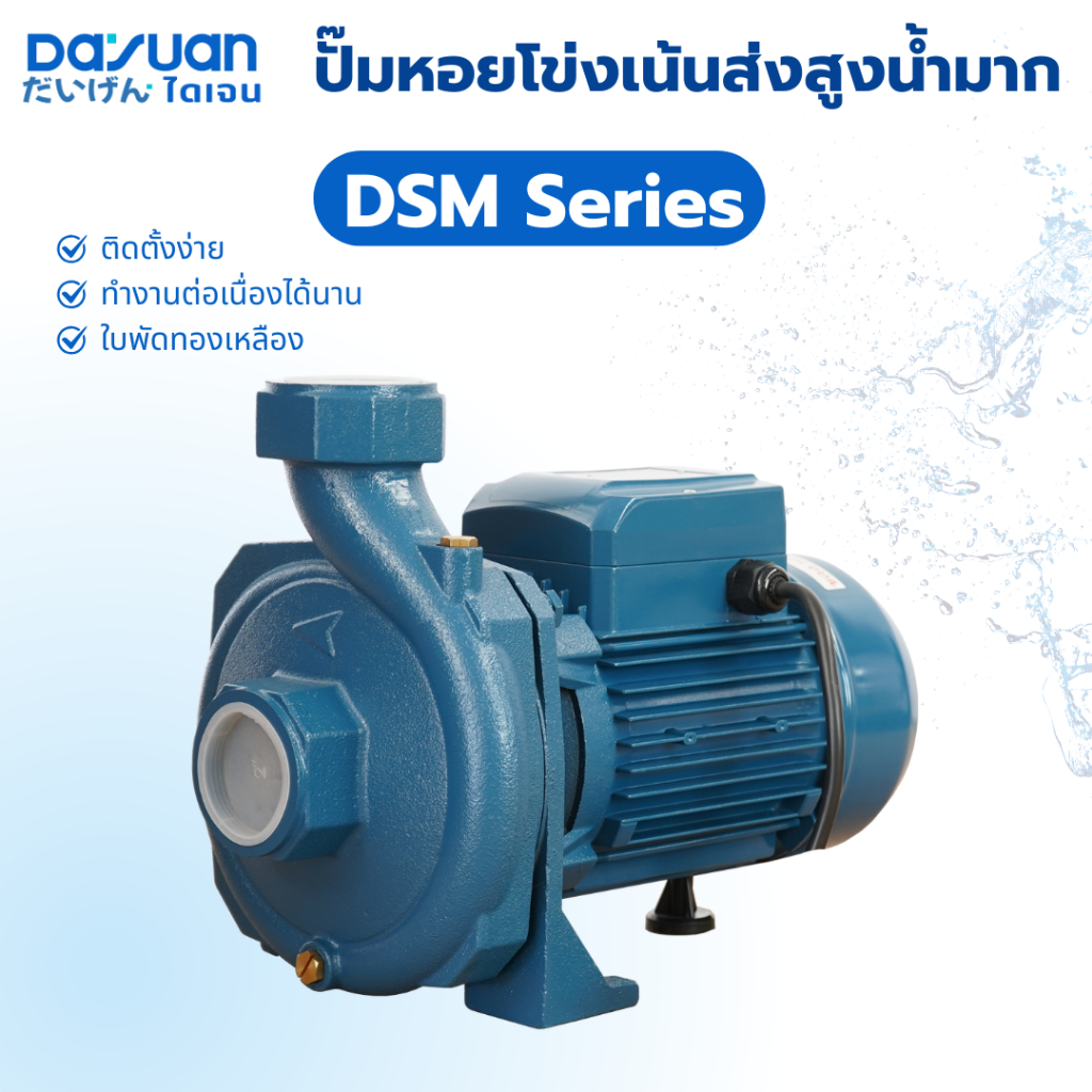 DAYUAN PUMP ปั๊มหอยโข่ง รุ่น DSM ปั๊มเซนติฟูกัล กำลังไฟ 1,100-1,500 วัตต์ ปั๊มหอยโข่ง ท่อ 2 นิ้ว