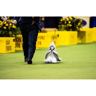 เรสโก 3/8 ฝ้าย เคลือบไขปลาวาฬ ตะขอเกี่ยวกับโซ่