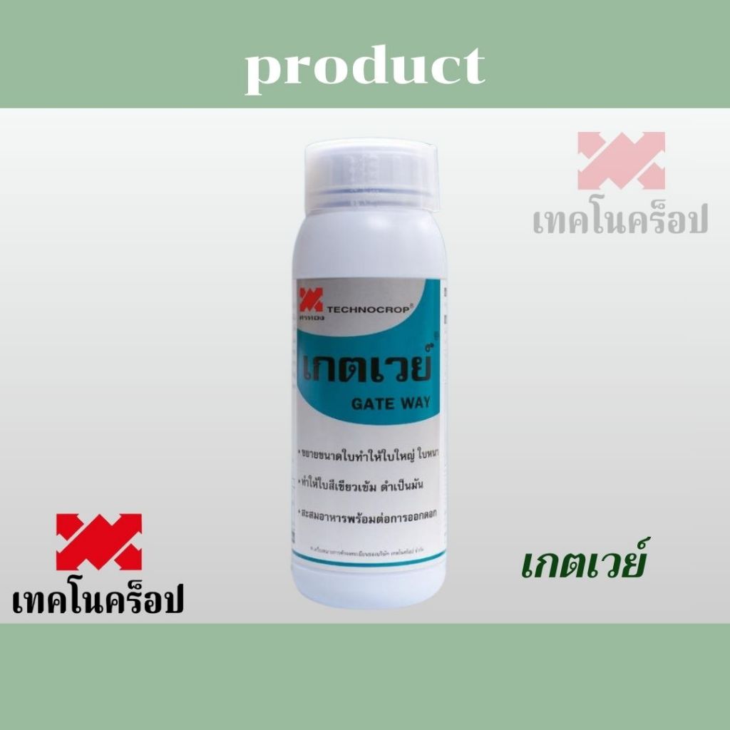 เทคโนคร็อป   เกตเวย์