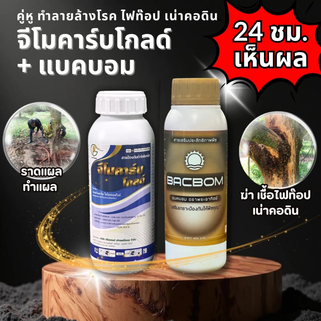 👍 คุ่หู ฆ่าเชื้อรา ไฟท๊อป เน่าคอดิน สูตรเกษตรเปิดใจ รักษาอย่างได้ผล ได้ภายใน 24 ชม.