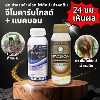 👍 คุ่หู ฆ่าเชื้อรา ไฟท๊อป เน่าคอดิน สูตรเกษตรเปิดใจ รักษาอย่…