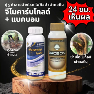 👍 คุ่หู ฆ่าเชื้อรา ไฟท๊อป เน่าคอดิน สูตรเกษตรเปิดใจ รักษาอย่างได้ผล ได้ภายใน 24 ชม.