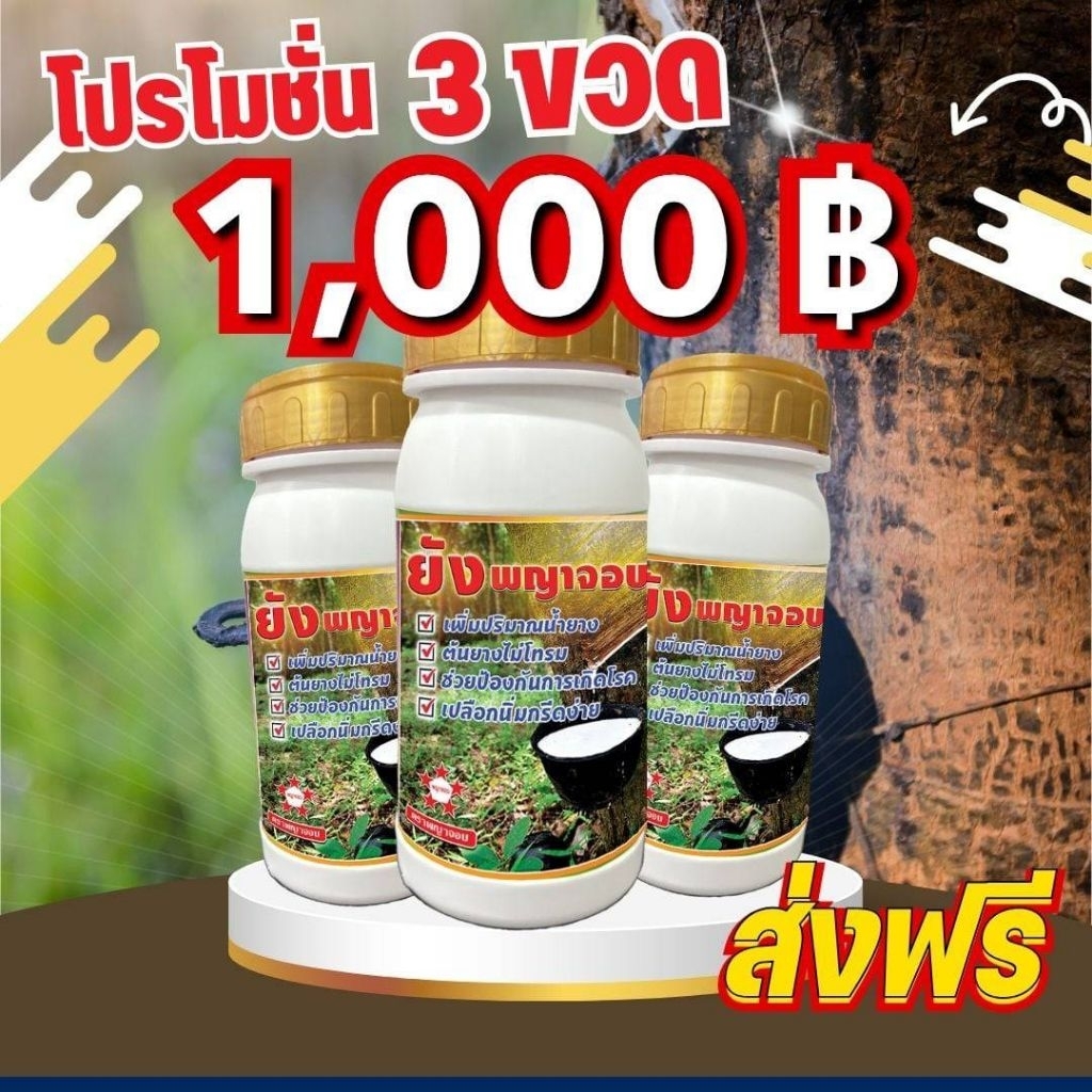 ยังพญาจอบ500มล.ฝาทอง 3ขวด ราคาถูกที่สุดในแอพ