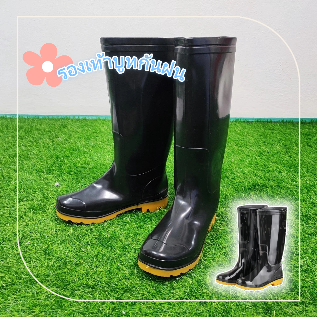 รูปภาพ 3