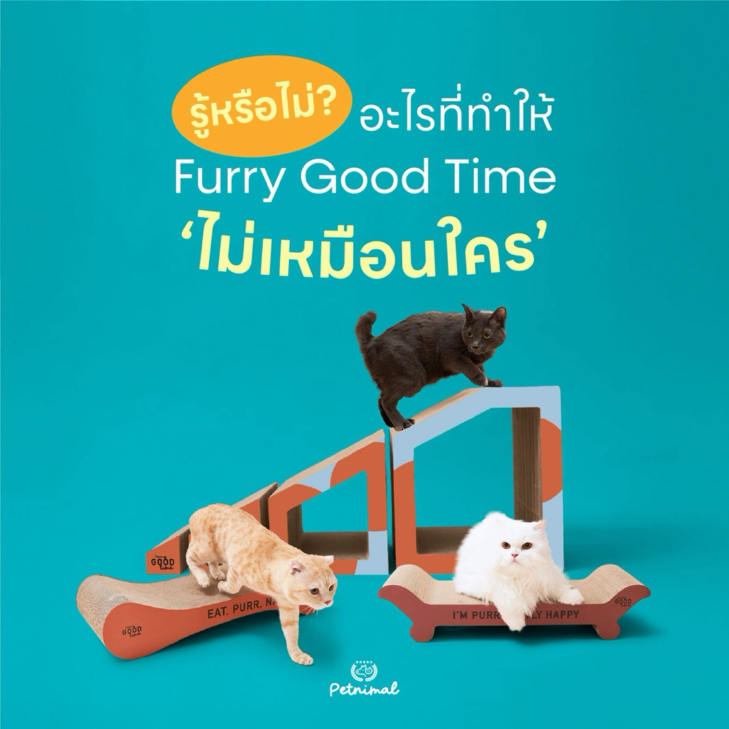ที่ลับเล็บแมวพรีเมียม ไร้ฝุ่น รุ่นเต็นท์ กระดาษแน่นพิเศษ ปลอดภัย Furry Good Time : Cat Scratcher ราคา ถูกที่สุด ดีลบีเคเค แกลเลอรีภาพที่ 5