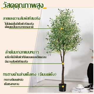 【สั่งแล้วฟรีกระถางดอกไม้】ต้นโอลีฟ ต้นมะกอกปลอม 120/150/180cm สไตล์นอร์ดิกอิน ลำต้นสีน้ำตาลเหมือนของจริง ต้นไม้ปลอมใหญ่