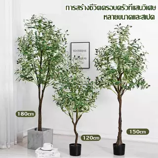 【สั่งแล้วฟรีกระถางดอกไม้】ต้นโอลีฟ ต้นมะกอกปลอม 120/150/180cm สไตล์นอร์ดิกอิน ลำต้นสีน้ำตาลเหมือนของจริง ต้นไม้ปลอมใหญ่