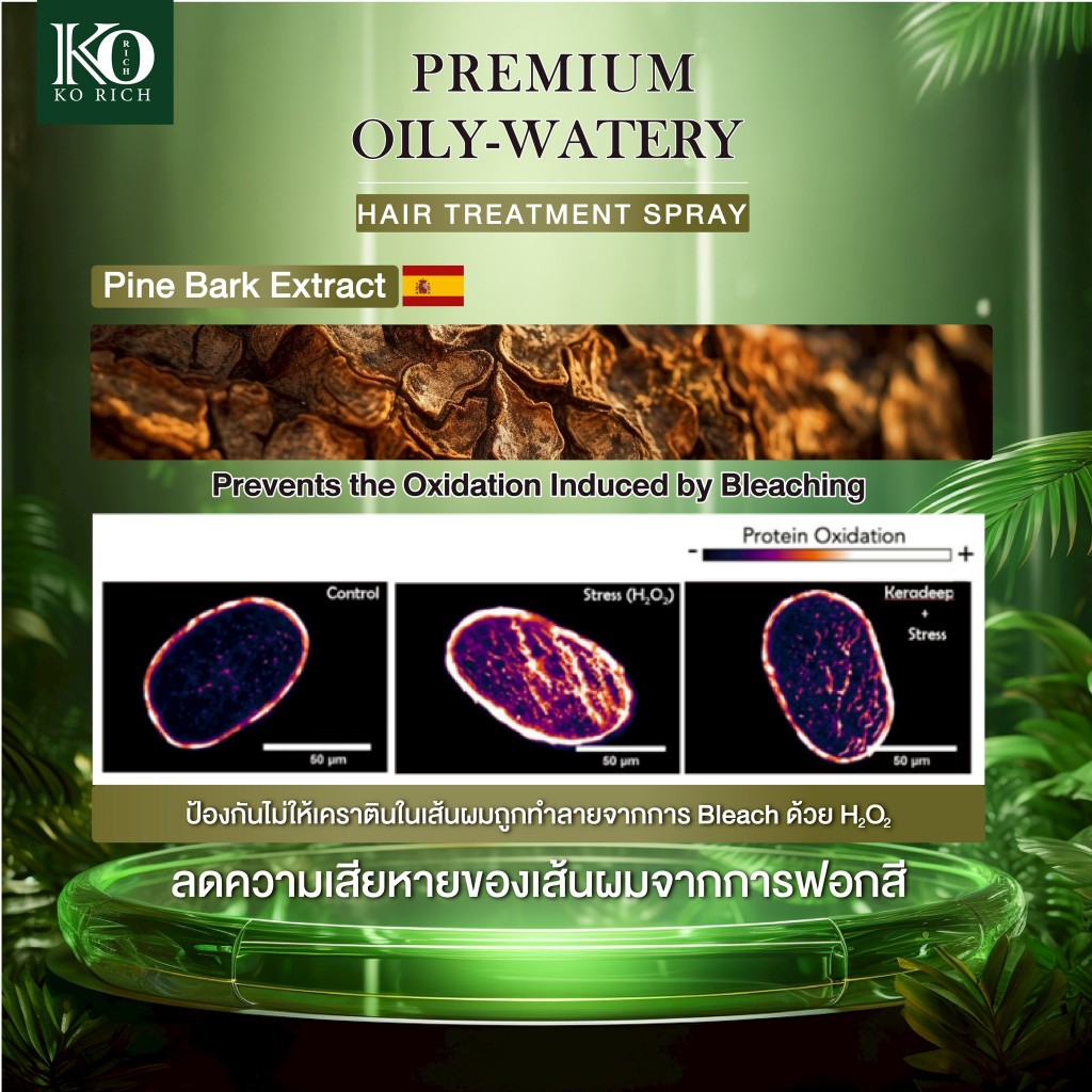 รูปภาพ 6