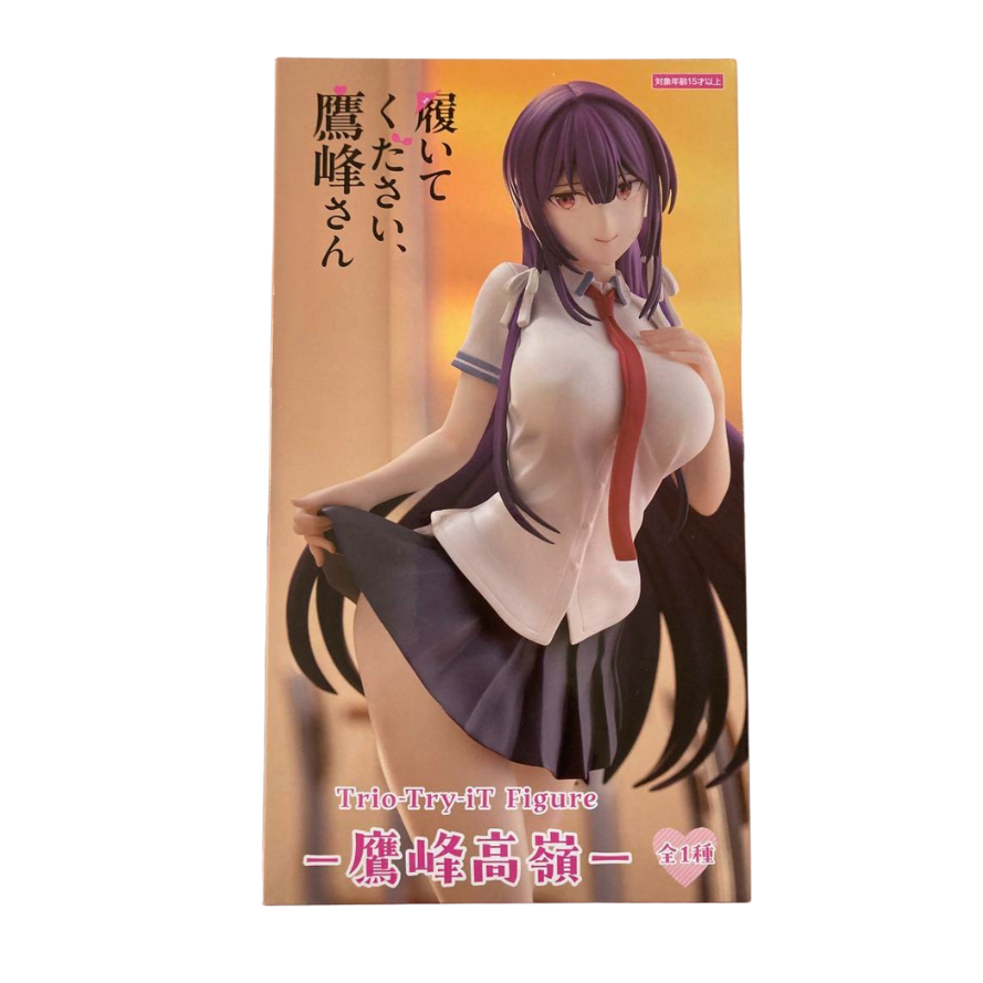 Furyu Please Put Them On, Takamine-san Trio-Try-iT Figure Takamine Takae Japan