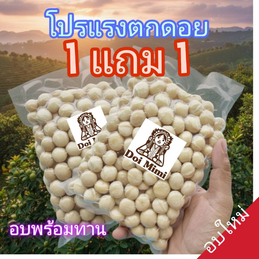 (อบใหม่) แมคคาเดเมีย เมล็ดเต็ม(โปร 1 แถม1 รวม1กก.) ไทยแท้ อบพร้อมทาน macadamia อย่างดี