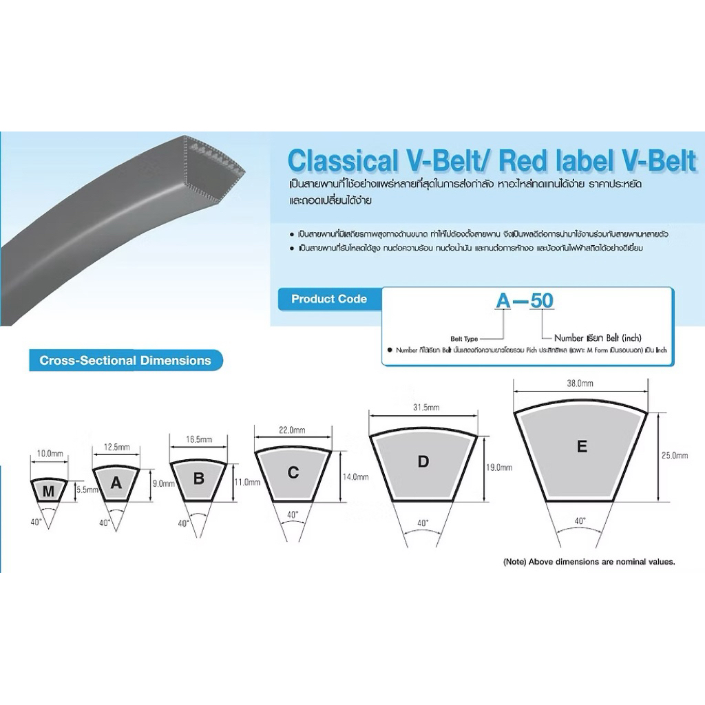 [Mitsuboshi] ของแท้ 100% สายพานร่องเรียบ B (เบอร์ 131 - 150) - รูปที่ 5