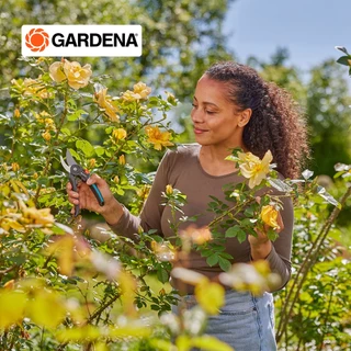 NEW✨ GARDENA กรรไกรตัดกิ่ง PremiumCut Flex -สำหรับตัดกิ่งกว้างสูงสุด 24 มม. (12242-20)
