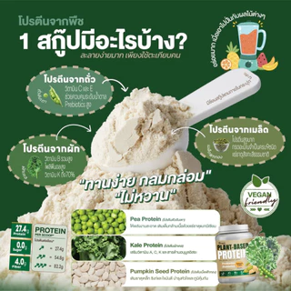 โปรตีนพืช 27.4g ย่อยง่าย ไม่อืด อิ่มนาน หวานน้อย ครบ 9 กรดอะมิโน โปรไบโอติก 5000 ล้านตัว จากถั่วลันเตา+เคล Plant Protein