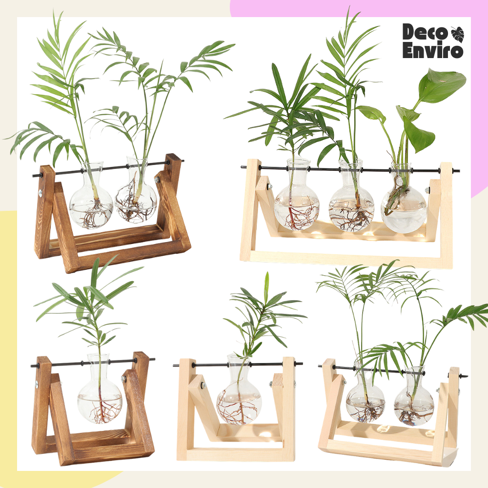 DECOENVIRO กระถางแก้วปลูกต้นไม้ในน้ำ แบบฐานชิงช้า กระถางต้นไม้แบบใส มี สีน้ำตาลไม้เข้ม และ สีน้ำตาลไม้อ่อน