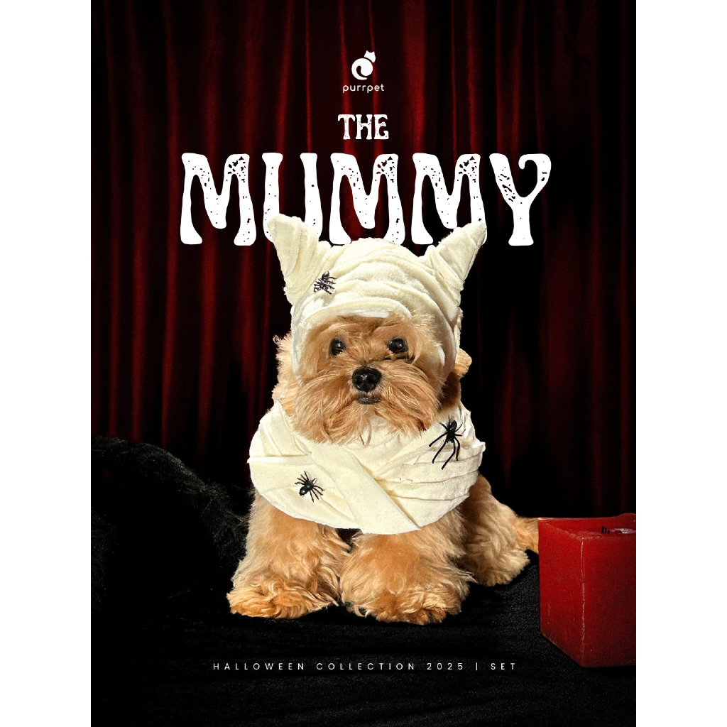 ชุดมัมมี่ ฮาโลวีน Mummy - Halloween Collection Purrpet