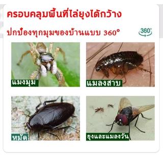 (10กล่อง=300ก้าน) ธูปไล่ยุง🦟 ธูปสมุนไพร ธูปกันยุงสมุนไพรธรรมชาติ 1 ก้านสามารถจุดป้องกันได้ประมาณ 30-45นาที