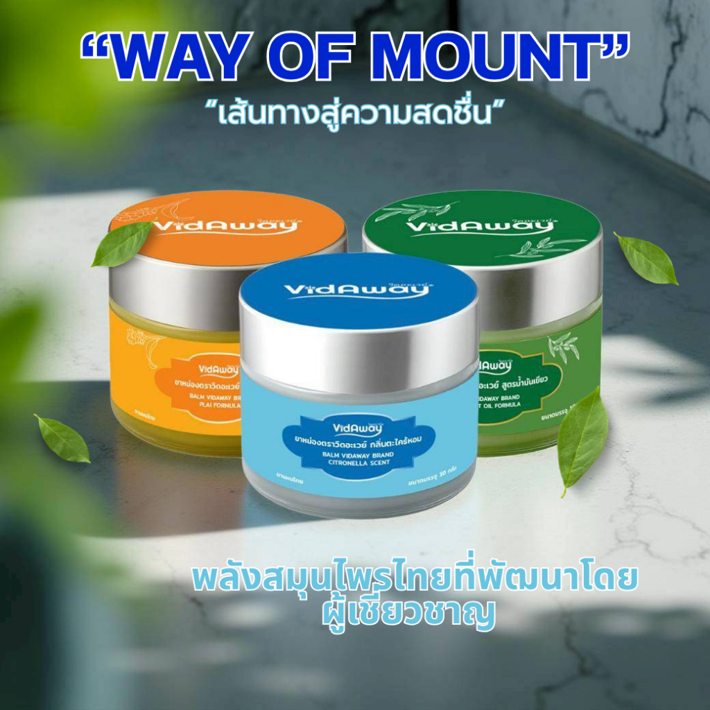 [ห้ามกดสั่ง!!]  คละสูตร ยาหม่อง VidAway สูตรไพล กลิ่นตะไคร้หอม สูตรน้ำมันเขียว