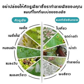 ยากำจัดแมลงพืช 500ml สูตรเข้มข้น ไม่ทำร้ายพืช กำจัดเพลี้ย เพลี้ยไฟ เพลี้ยแป้ง หนอน มด และไร ใช้ได้กับพืชทุกชนิด