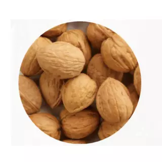 [500g.] ลูกวอลนัท Farmland Walnuts อาหารสำหรับ สัตว์เลี้ยง สัตว์ฟันแทะ นก นกแก้วขนาดใหญ่ กระรอก กระแต มาคอร์ อาหารนก