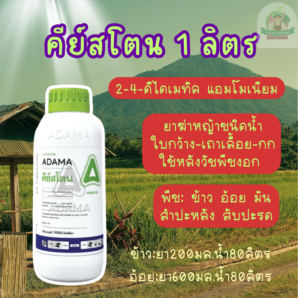 คีย์สโตน 1 ลิตร 2-4-ดีไดเมทิลแอมโมเนียม อดามา ยาฆ่าหญ้าใบกว้าง เถาเลื้อย กก ในนาข้าว อ้อย
