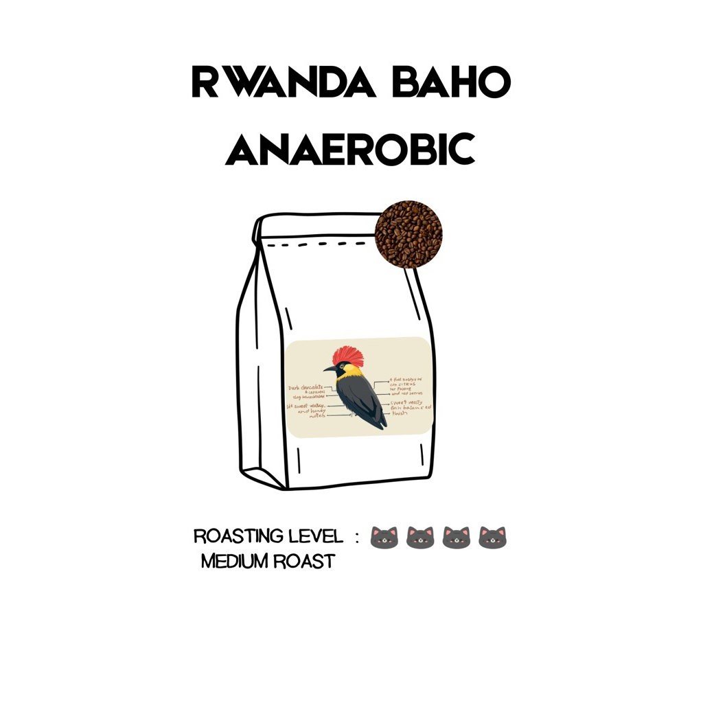 rwanda baho anaerobic
