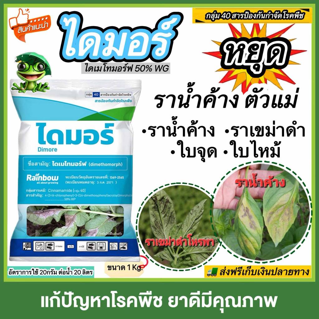 ไดมอร์ สารตัวเดียวกับฟอรั่ม สารไดเมโทมอร์ฟ หยุดเชื้อรา ราน้ำค้าง ราเขม่าดำ ราใบจุ ใบไหม้