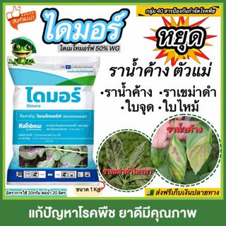 ไดมอร์ สารตัวเดียวกับฟอรั่ม สารไดเมโทมอร์ฟ หยุดเชื้อรา ราน้ำ…