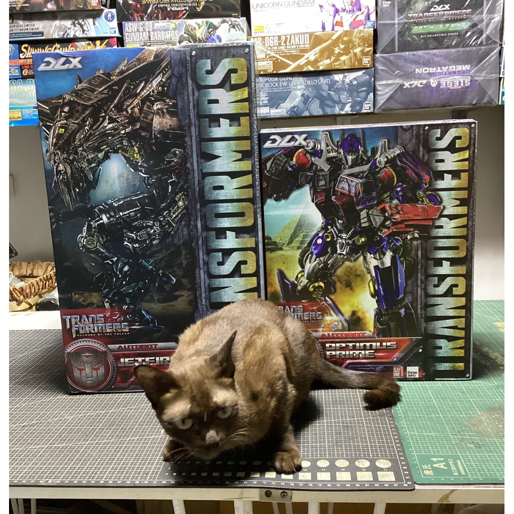 DLX Optimus prime & DLX Jetfire