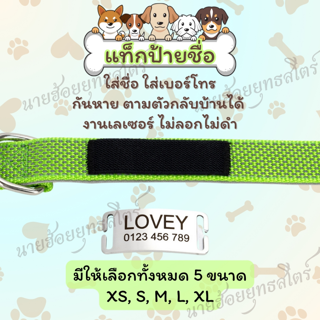 ปลอกคอสุนัข แบบแกะสลักชื่อ ด้วยเลเซอร์ พร้อมสายรัดไนลอนนุ่ม หลากสี พร้อมหัวเข็มขัดสีสะท้อนแสง ราคา ถูกที่สุด ดีลบีเคเค แกลเลอรีภาพที่ 6