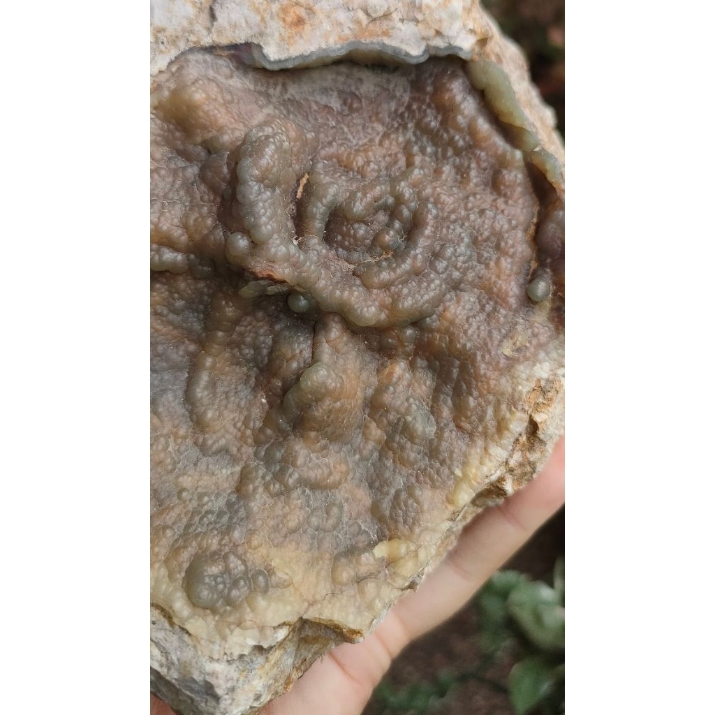 หินโมกุล (หรือแร่เหล็กไหลเพลิง) พระธาตุหินโมกุล  พระธาตุเกศแก้วโมกุล ทรงธรรมชาติ mogul stone