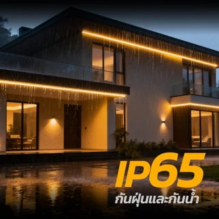 MODI ไฟเส้น ไฟริบบิ้นโซล่าเซลล์ ยาว10M20M30M50M ระบบสว่างค้าง กันน้ำIP65 ตกแต่งต้นไม้และสวน รั้วบ้าน
