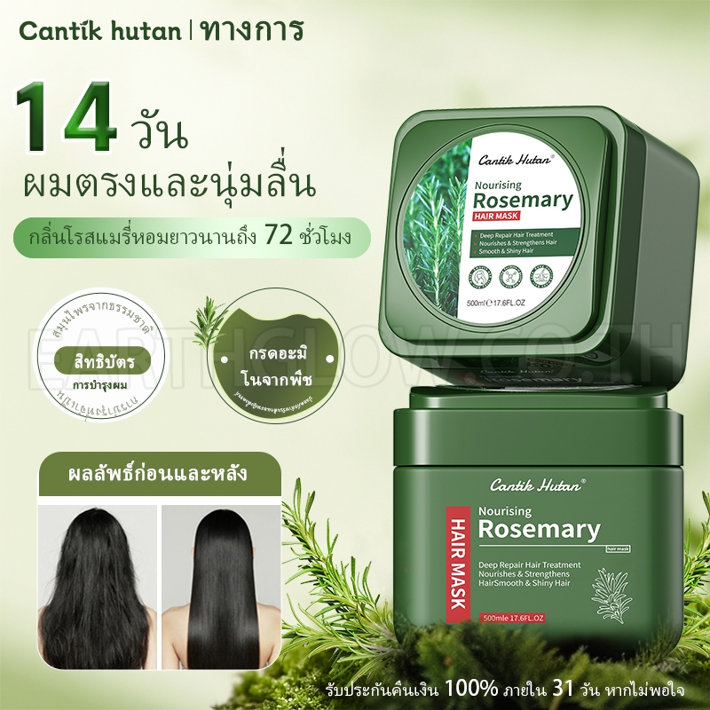มาส์กผม Rosemary บำรุงผมเสียหนัก ฟื้นฟูผมแห้งเสีย ลดผมแตกปลาย ผมนุ่มลื่น เงางาม สูตรสมุนไพร อ่อนโยน ไม่ระคายเคือง 500g