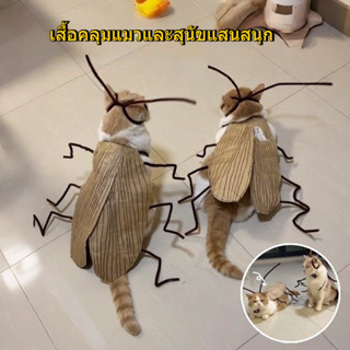 ชุดสัตว์เลี้ยงคอสเพลย์จัดส่งทันที ตลกแมวตลกแมลงสาบรูปร่างเสื…