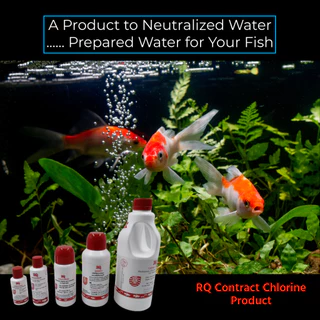 ผลิตภัณฑ์ปรับสภาพน้ำ RQ ลดคลอรีน RQ Contract Chlorine 500 ml. เตรียมน้ำสำหรับเลี้ยงปลาสวยงาม ขนาด 500 มล. ฝาสีแดง
