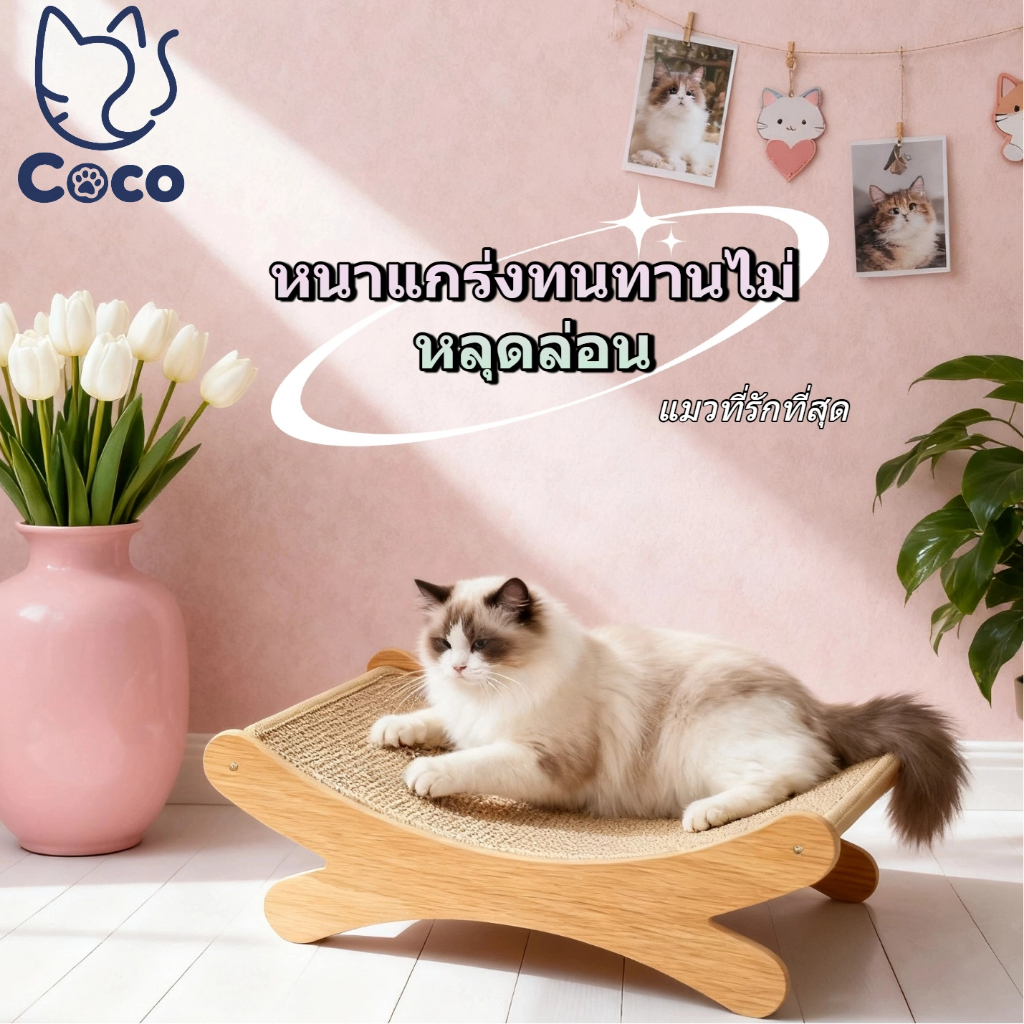 COCO.PETมีดโกนแมว - รังแมว 2-in-1 ที่ทนต่อการสึกหรอและรอยขีดข่วน, โซฟาแมว,ที่ลับเล็บแมว คอนโดแมว ของเล่นแมว, เตียงแมว