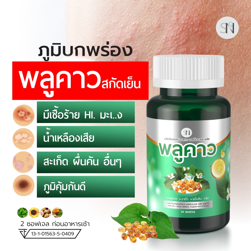 Mall-[ตะกล้าบริษัท] SN9พลูคาวสกัดเย็น  พลูคาว คาวตอง SN9 Plus Plu kaow แบรนด์SN9